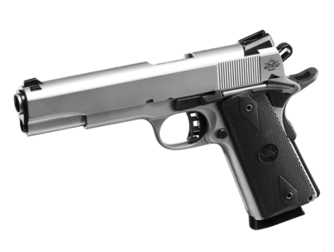 Image of ROCK Standard FS Matte Nickel 45ACP 8rd Gun