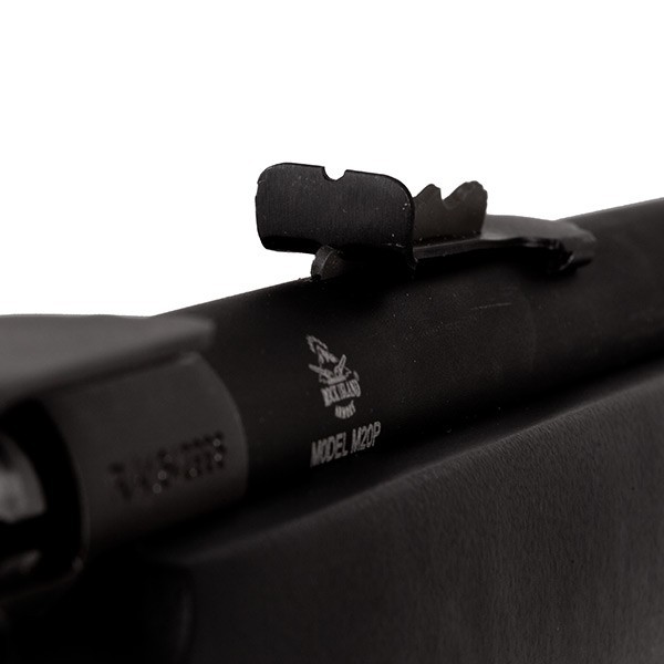 M20P Rear Sight