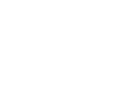 Rock Island Armory
