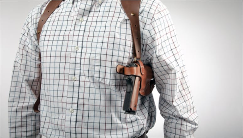 Shoulder Holster