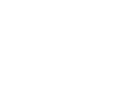 Rock Island Armory