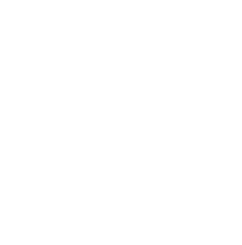RIA USA